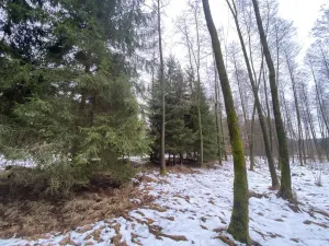 Prodej pozemku, Veliny, 1630 m2