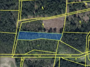 Prodej pozemku, Veliny, 1630 m2