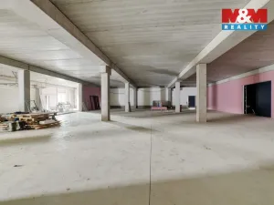 Pronájem výrobních prostor, Cheb, Karlova, 2200 m2