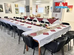 Pronájem obchodního prostoru, Louny, Říční, 216 m2