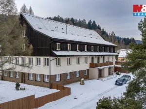 Prodej ubytování, Borušov - Svojanov, 1890 m2