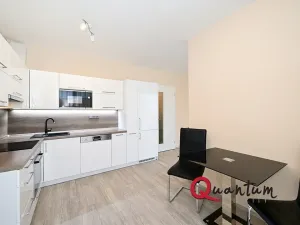 Pronájem bytu 1+kk, Praha - Žižkov, Olgy Havlové, 38 m2