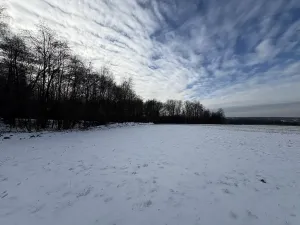 Prodej louky, Bruzovice, 94427 m2