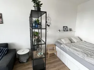 Pronájem bytu 1+1, Ostrava, Opavská, 35 m2