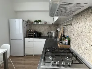 Pronájem bytu 1+1, Ostrava, Opavská, 35 m2