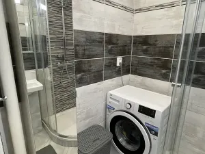 Pronájem bytu 1+1, Ostrava, Opavská, 35 m2