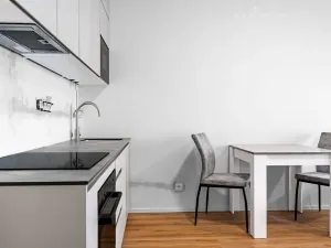 Pronájem bytu 1+kk, Brno, 34 m2