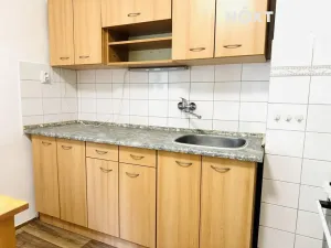 Pronájem bytu 1+1, České Budějovice, Generála Svobody, 60 m2