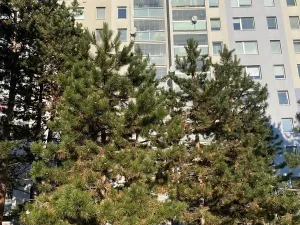 Prodej bytu 3+1, Praha - Háje, Matúškova, 77 m2