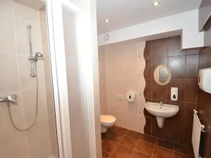 Pronájem skladu, Liberec, Řeznická, 227 m2