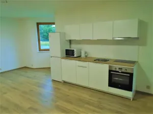 Pronájem bytu 1+kk, Tečovice, 36 m2