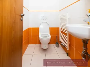 Pronájem bytu 5+1, Praha - Smíchov, U Malvazinky, 131 m2