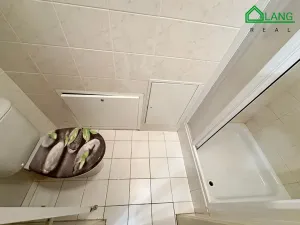 Prodej rodinného domu, Brno, Högrova, 210 m2