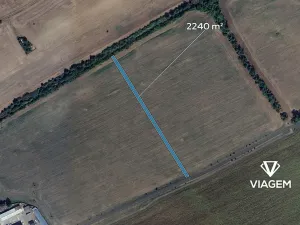 Prodej pole, Prušánky, 2240 m2