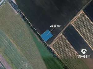 Prodej pole, Podivín, 3815 m2