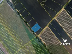 Prodej pole, Podivín, 3815 m2