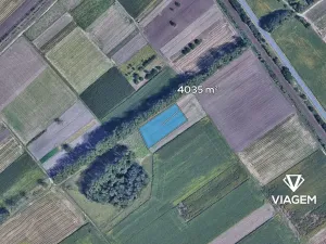 Prodej pole, Podivín, 4035 m2