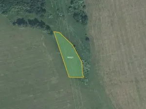 Prodej louky, Vítkov, 5637 m2