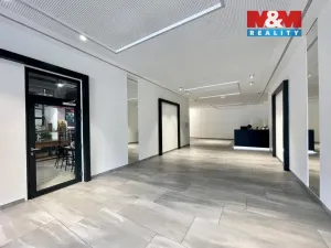 Pronájem obchodního prostoru, Brno - Lesná, Okružní, 275 m2