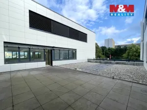 Pronájem obchodního prostoru, Brno - Lesná, Okružní, 275 m2