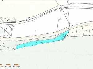 Prodej lesa, Vladislav, 4743 m2