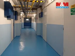 Prodej bytu 1+1, Litoměřice - Předměstí, Revoluční, 42 m2