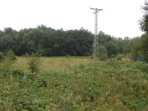 Dražba louky, Meziměstí, 28977 m2