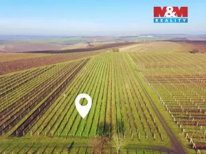 Prodej pole, Velké Bílovice, 3600 m2