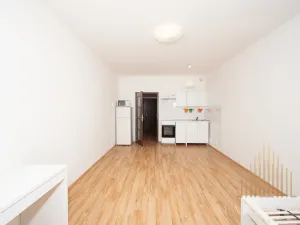 Pronájem bytu 1+kk, Praha - Vysočany, Freyova, 33 m2