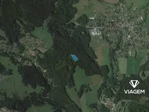 Prodej lesa, Loužnice, 6242 m2