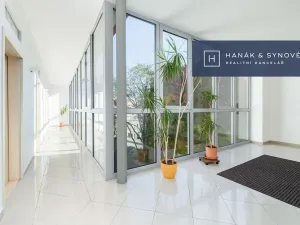 Pronájem bytu 2+1, Brno, Anenská, 50 m2