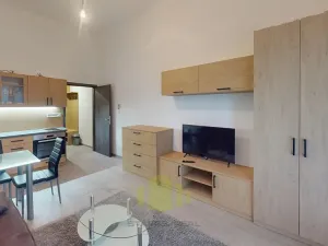 Pronájem bytu 1+kk, Olomouc, Edmunda Husserla, 30 m2