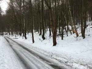 Prodej pozemku, Kadaň, 3903 m2