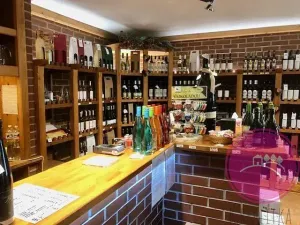 Pronájem obchodního prostoru, Olomouc, Karolíny Světlé, 55 m2