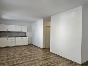 Pronájem bytu 1+kk, Brno - Maloměřice, Hády, 37 m2