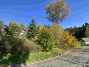 Dražba louky, Lučany nad Nisou, 179 m2