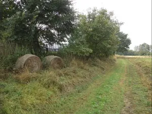 Dražba louky, Horní Pěna, 1083 m2