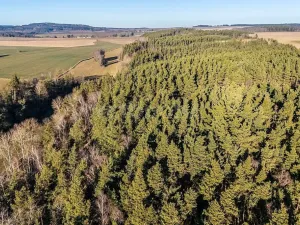 Prodej rodinného domu, Ostrov u Bezdružic, 90 m2