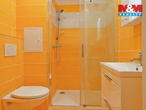 Pronájem bytu 1+kk, Přelouč, K. Čapka, 31 m2