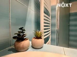 Pronájem bytu 3+1, Kroměříž, Albertova, 62 m2