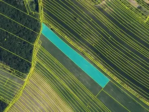 Prodej pole, Klobouky u Brna, 9109 m2