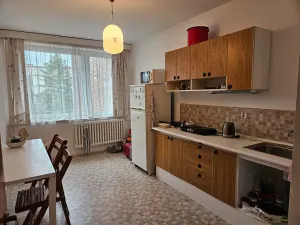 Pronájem pokoje, Praha - Dejvice, Starého, 15 m2