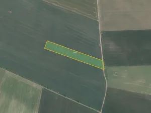 Prodej pole, Nový Šaldorf-Sedlešovice, 16200 m2