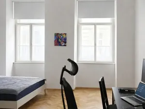 Pronájem bytu 1+1, Praha - Nové Město, Krakovská, 55 m2