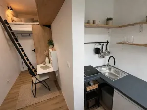 Pronájem bytu 1+kk, Praha - Nusle, Jaromírova, 12 m2