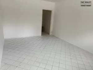 Pronájem bytu 1+1, Děčín, Želenická, 36 m2