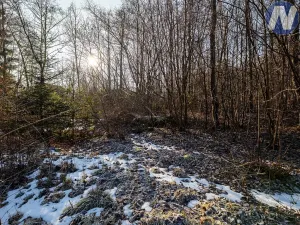 Prodej pozemku pro bydlení, Prachatice, 1140 m2