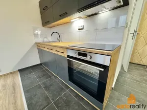 Pronájem bytu 1+1, Ústí nad Labem, Pod Parkem, 36 m2