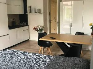 Pronájem bytu 1+kk, Praha - Žižkov, Bořivojova, 31 m2