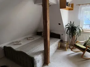 Prodej vícegeneračního domu, Aš, Květnová, 330 m2